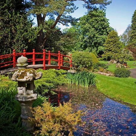 The Curragh Country House Accommodation Newbridge  Zewnętrze zdjęcie