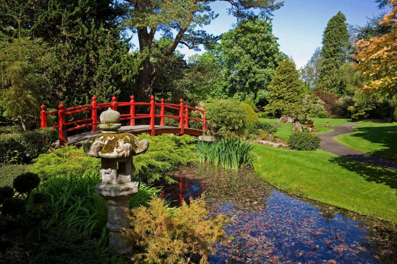 The Curragh Country House Accommodation Newbridge  Zewnętrze zdjęcie
